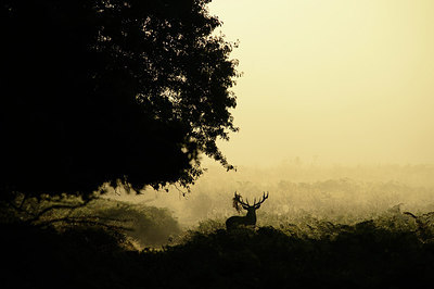 BUITEN BEELD Foto: 314498