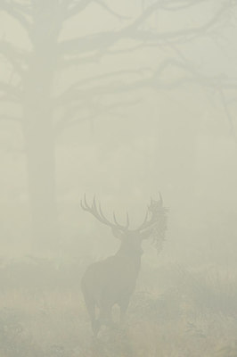BUITEN BEELD Foto: 314501