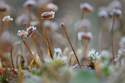 BUITEN BEELD Foto: 314581