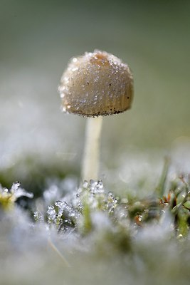 BUITEN BEELD Foto: 314584