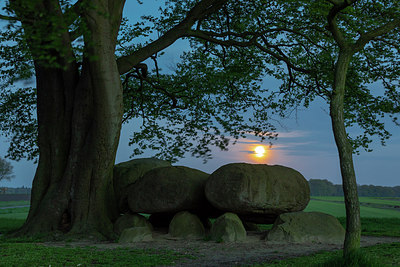 BUITEN BEELD Foto: 314599