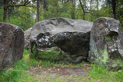 BUITEN BEELD Foto: 314627