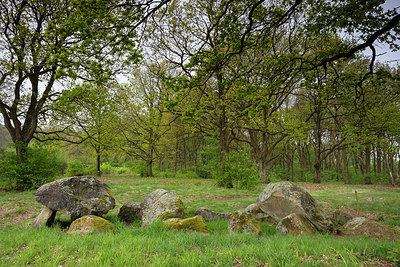 BUITEN BEELD Foto: 314630