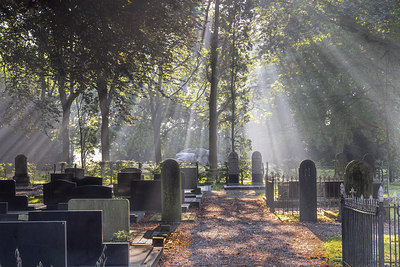 BUITEN BEELD Foto: 314646