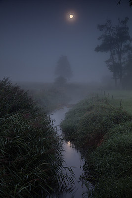 BUITEN BEELD Foto: 314648