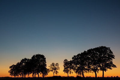 BUITEN BEELD Foto: 314658