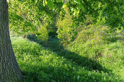 BUITEN BEELD Foto: 314763