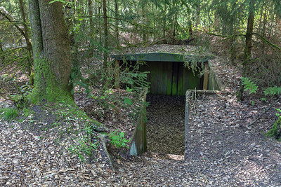 BUITEN BEELD Foto: 314769