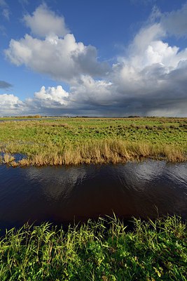 BUITEN BEELD Foto: 314771
