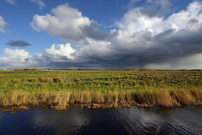 BUITEN BEELD Foto: 314772