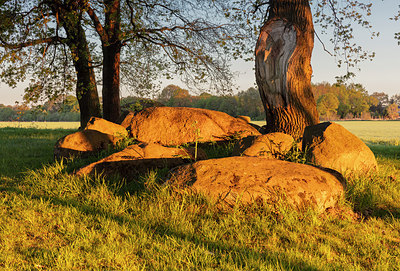 BUITEN BEELD Foto: 314774