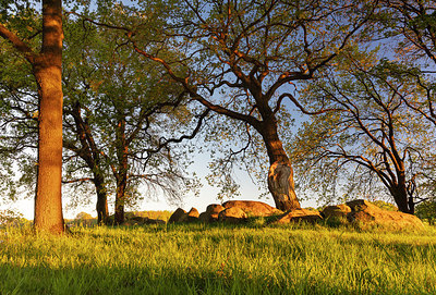 BUITEN BEELD Foto: 314775