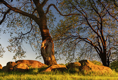 BUITEN BEELD Foto: 314776