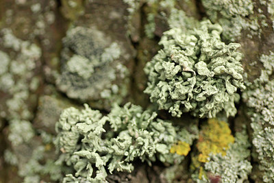 BUITEN BEELD Foto: 314827