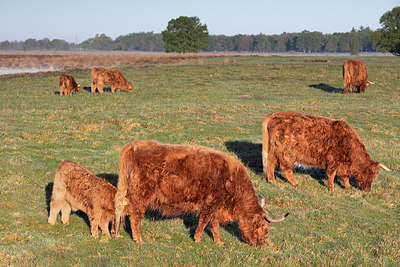 BUITEN BEELD Foto: 314844