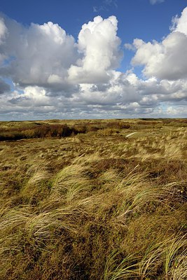 BUITEN BEELD Foto: 314900