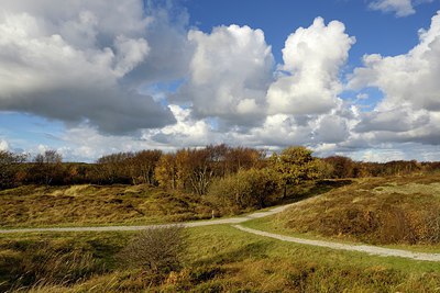 BUITEN BEELD Foto: 314901