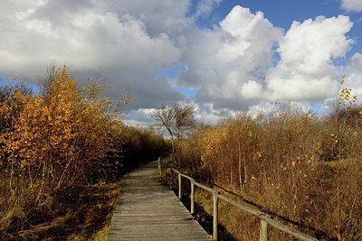 BUITEN BEELD Foto: 314903