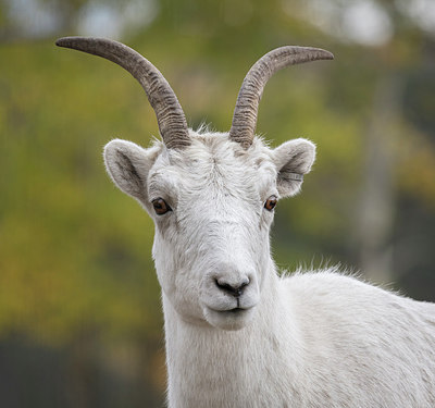 BUITEN BEELD Foto: 314931