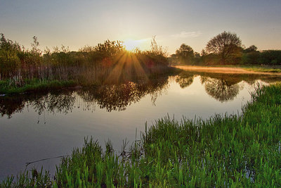 BUITEN BEELD Foto: 314956