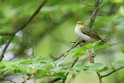 BUITEN BEELD Foto: 314992