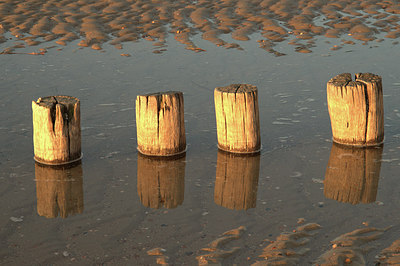BUITEN BEELD Foto: 315025