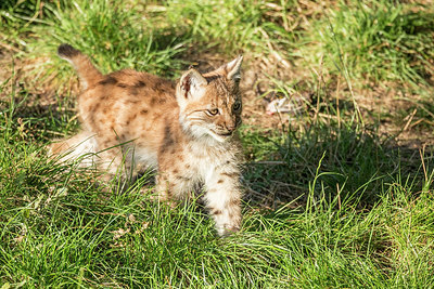 BUITEN BEELD Foto: 315112