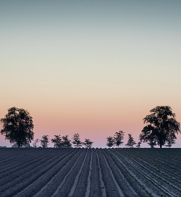 BUITEN BEELD Foto: 315145