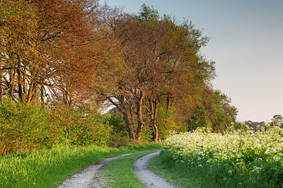 BUITEN BEELD Foto: 315166