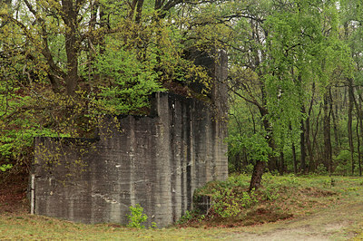 BUITEN BEELD Foto: 315188
