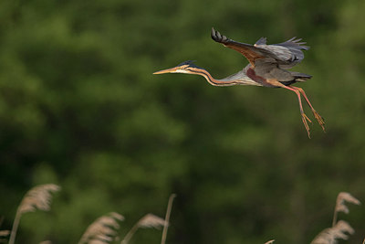 BUITEN BEELD Foto: 315245