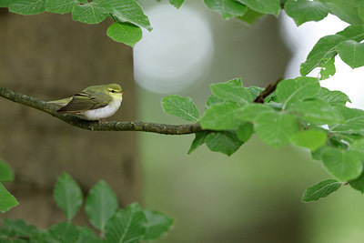 BUITEN BEELD Foto: 315275
