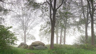 BUITEN BEELD Foto: 315277