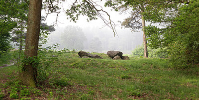 BUITEN BEELD Foto: 315279