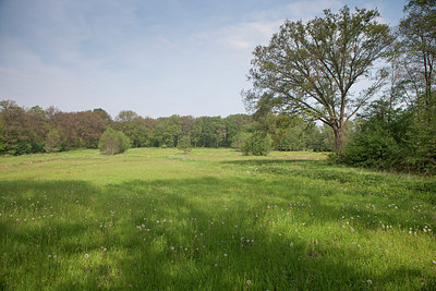 BUITEN BEELD Foto: 315326