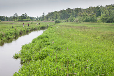 BUITEN BEELD Foto: 315334