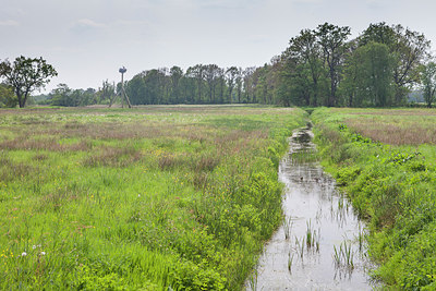 BUITEN BEELD Foto: 315336