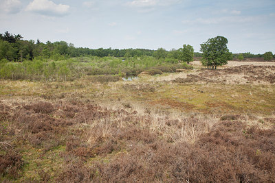 BUITEN BEELD Foto: 315337