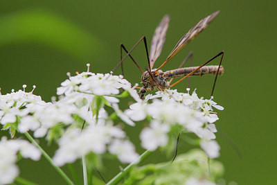 BUITEN BEELD Foto: 315356