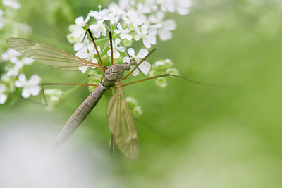 BUITEN BEELD Foto: 315358