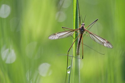 BUITEN BEELD Foto: 315366