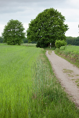 BUITEN BEELD Foto: 315375