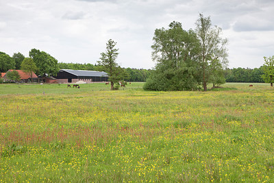 BUITEN BEELD Foto: 315380