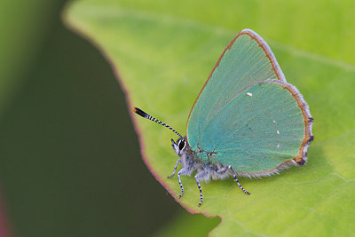 BUITEN BEELD Foto: 315390