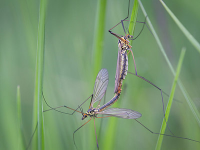 BUITEN BEELD Foto: 315396