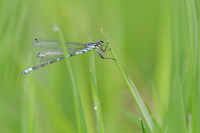 BUITEN BEELD Foto: 315399