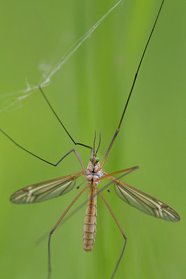 BUITEN BEELD Foto: 315410