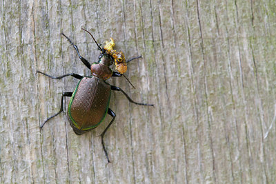 BUITEN BEELD Foto: 315414