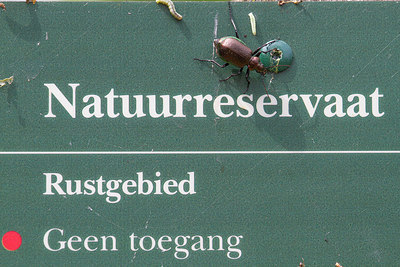 BUITEN BEELD Foto: 315415