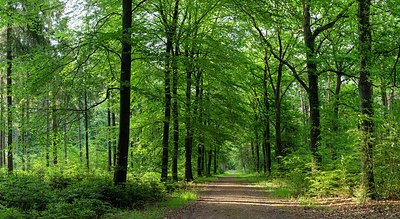 BUITEN BEELD Foto: 315444
